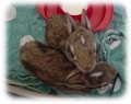 Cottontails