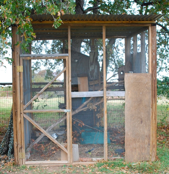 Rainbow Wildlife Rescue in Little Elm, Texas lending Orphaned